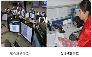 湖南商務職業技術學院會計信息管理專業介紹 信息技術咨詢服務