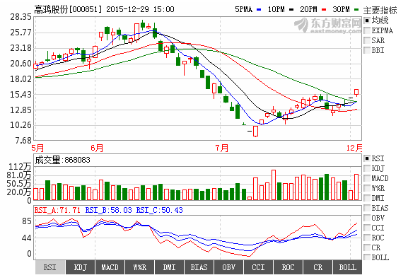 高鴻股份 計算機軟硬件技術開發的戰略解析與未來展望